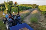 Solis Kompakttraktor 26 mit Seitenschaltung Grundmaschine ohne Bereifung – Bild 3