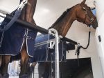 Humbaur Maximus 2700 S – Bild 6
